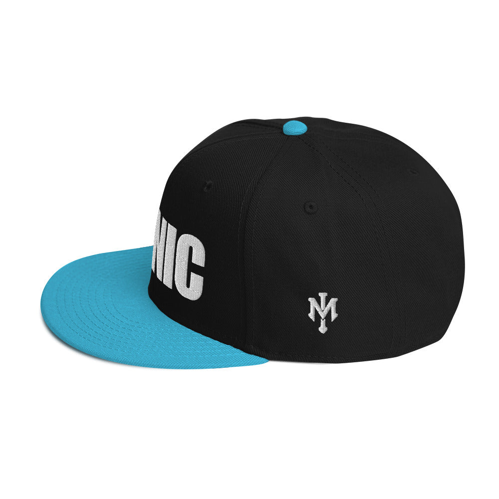 ICONIC Snapback Hats