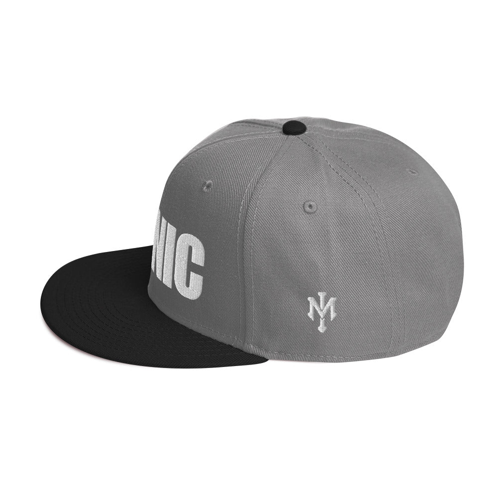 ICONIC Snapback Hats