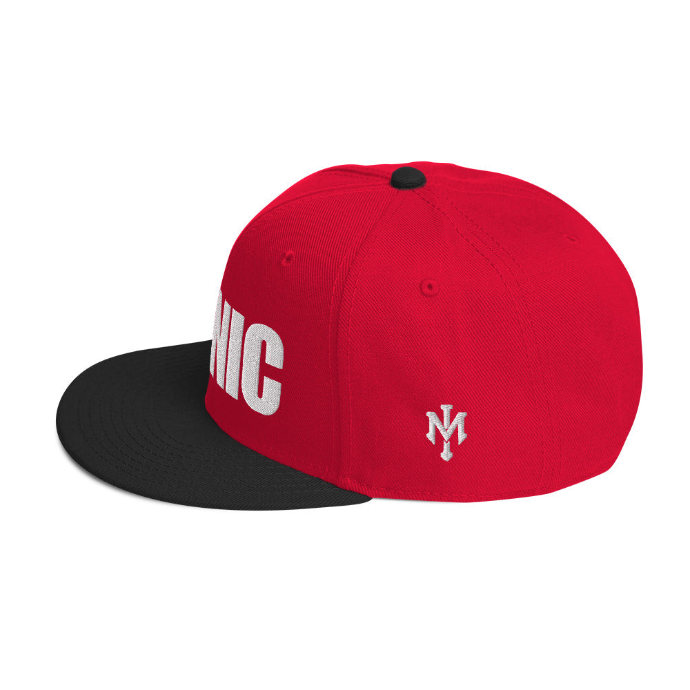 ICONIC Snapback Hats