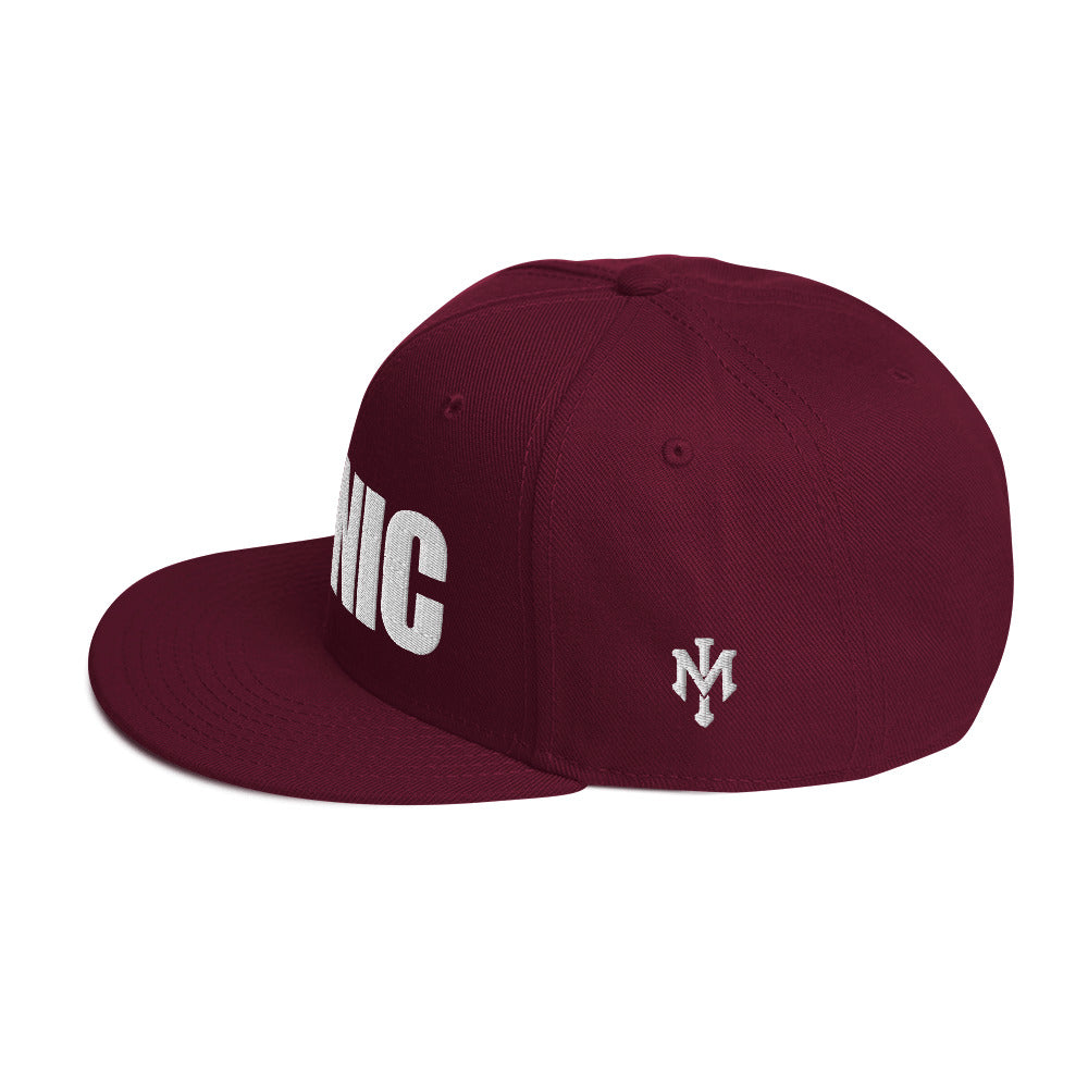 ICONIC Snapback Hats