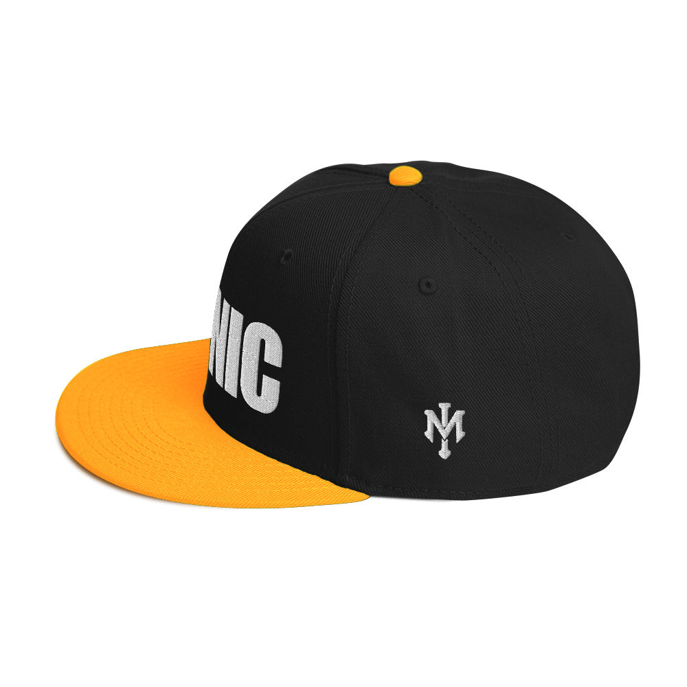 ICONIC Snapback Hats