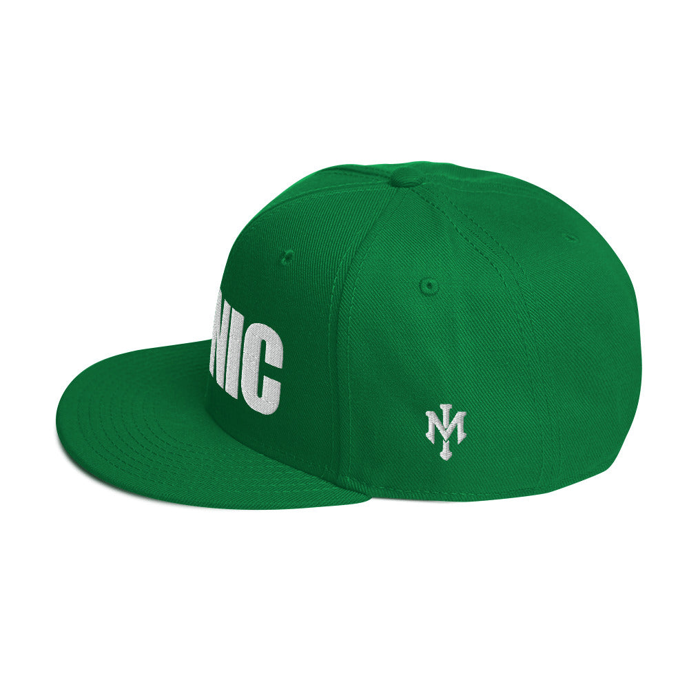 ICONIC Snapback Hats