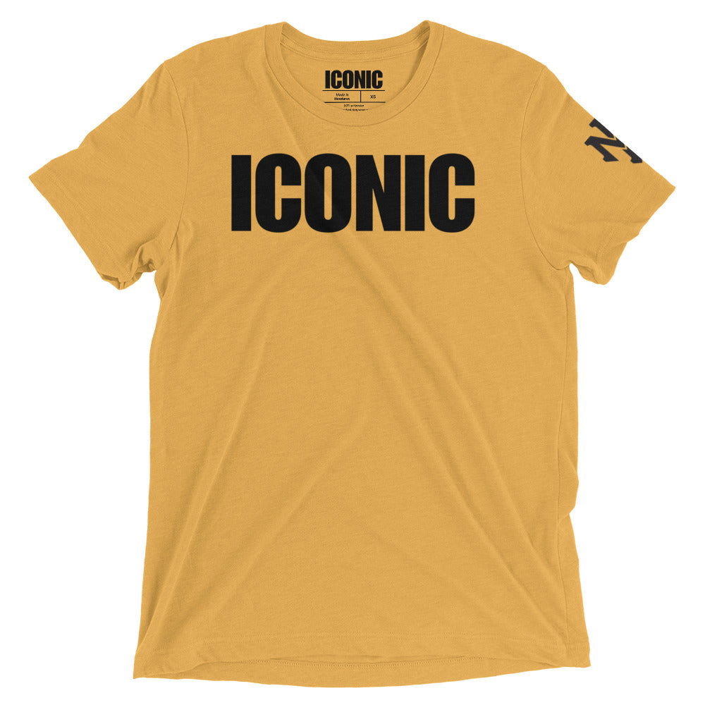 Classic ICONIC Tri- Blend T-Shirt