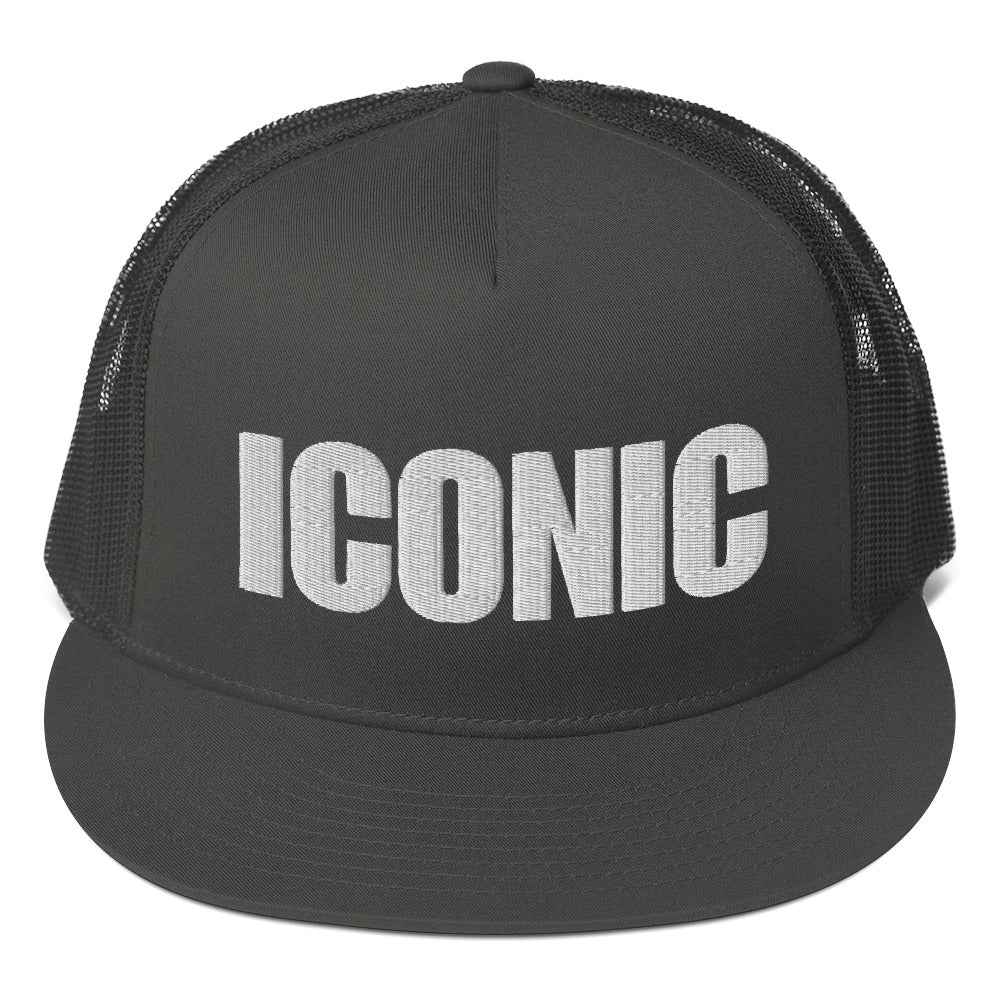 ICONIC Trucker Snapback